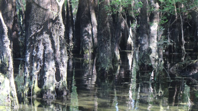 Morrison Springs Park