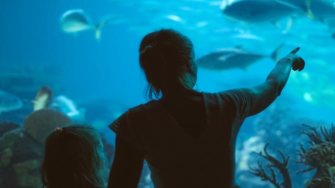 Gulfarium: Fun with Family