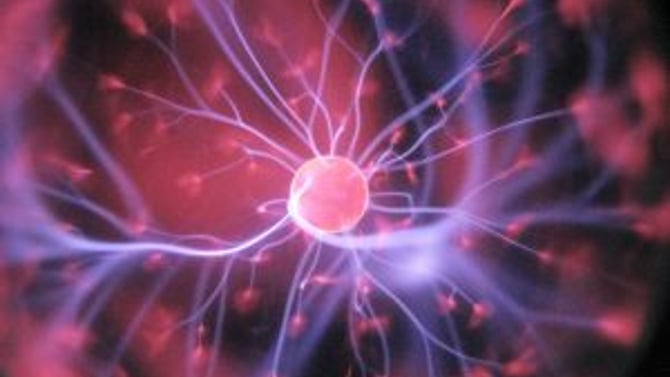 Emerald Coast Science Center: Family Fun For All